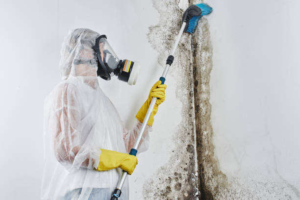 Best Crawl Space Mold Removal  in Greentown, OH