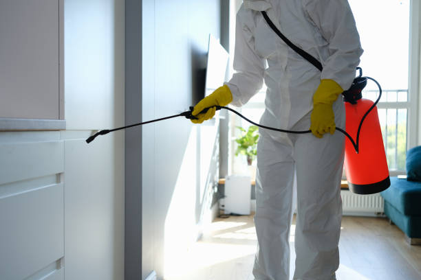 Home Mold Removal in Greentown, OH