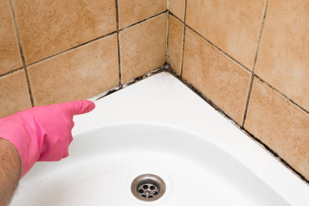 Best Mold Cleaning Services  in Greentown, OH